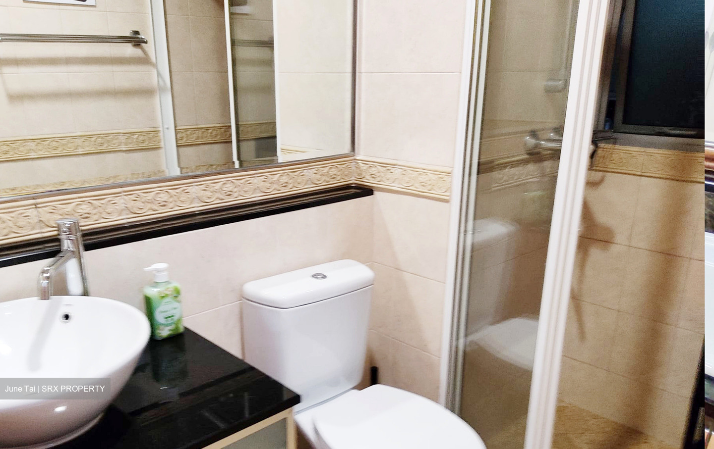 Thomson Euro-asia (D11), Condominium #527371461